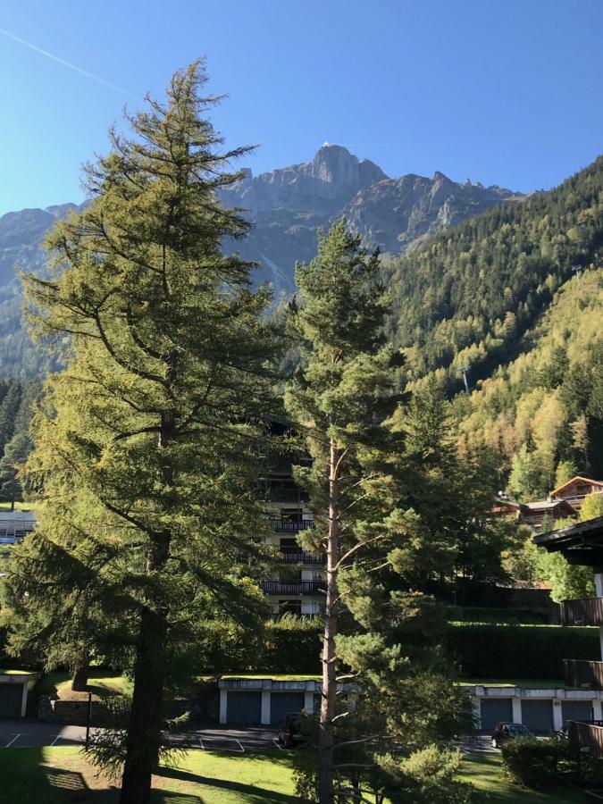 Ferienwohnung Brevent - Meleze Chamonix Exterior foto